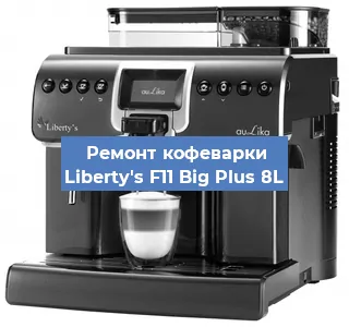 Замена фильтра на кофемашине Liberty's F11 Big Plus 8L в Санкт-Петербурге